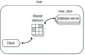 In this figure, a client application and a database server named river_shm communicate with each other through shared memory.