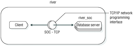 This figure shows a client application and a database server named river_soc that are connected through a TCP/IP programming interface.