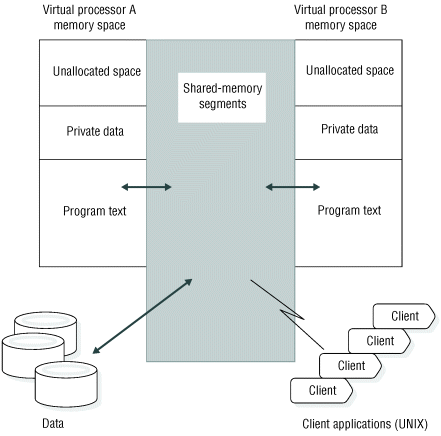 This figure shows Virtual Processor A and Virtual Processor B using shared memory to share data. Both virtual processors have memory space for program text and private data and memory space that is not allocated.