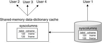 syscolumn information of a user is placed in shared-memory data-dictionary cache shared with other users of the system.