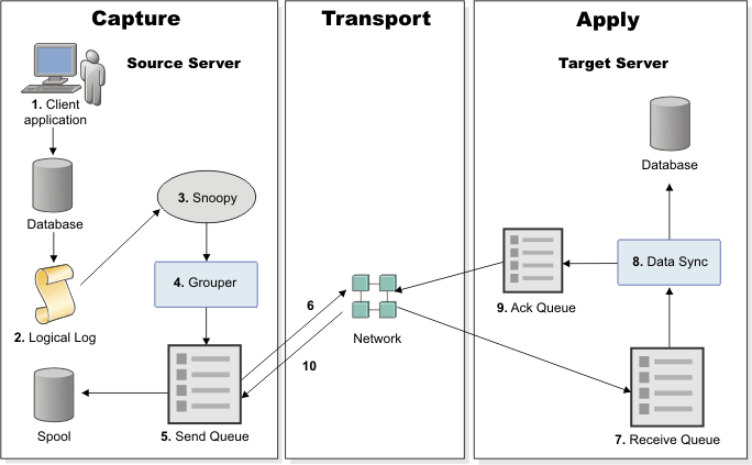 The graphic is described in surrounding text.