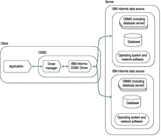 This graphic illustrates the software architecture for Informix ODBC Driver when a driver manager is incorporated into the system. The graphic contains two groups of rectangles, one horizontally aligned, and one vertically aligned. The horizontal grouping of labeled rectangles is on the left side, is labeled “Client”, and contains three rectangles labeled, from left to right, "Application", "Driver Manager", and "HCL Informix ODBC Driver." There are dual-directional arrows that connect "Application" and "Driver Manager" as well as "Driver Manager" and "HCL Informix ODBC Driver." "Driver Manager" and "HCL Informix ODBC Driver" are grouped together to indicate that they act as a single unit in this situation. The vertical grouping of rectangles is labeled "Server" and contains two smaller groupings of rectangles, both labeled “HCL Informix data source." Each of the smaller groupings of rectangles has three rectangles labeled "DBMS (including database server)”, "database", and "Operating system and network software". The two "HCL Informix data source" groupings are joined by a dual-directional arrow that also connects to the "HCL Informix ODBC Driver" rectangle in the "Client" grouping of rectangles.