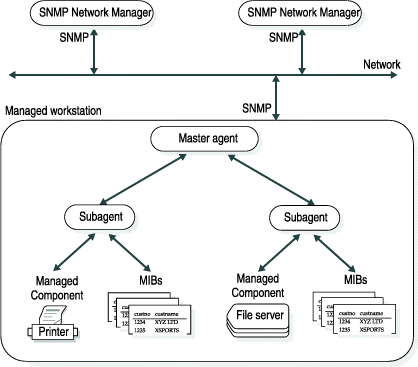 begin figure description - This figure is described in the surrounding text. - end figure description